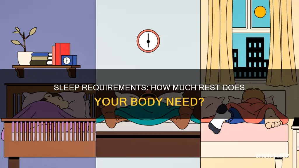 how mich sleep do i need