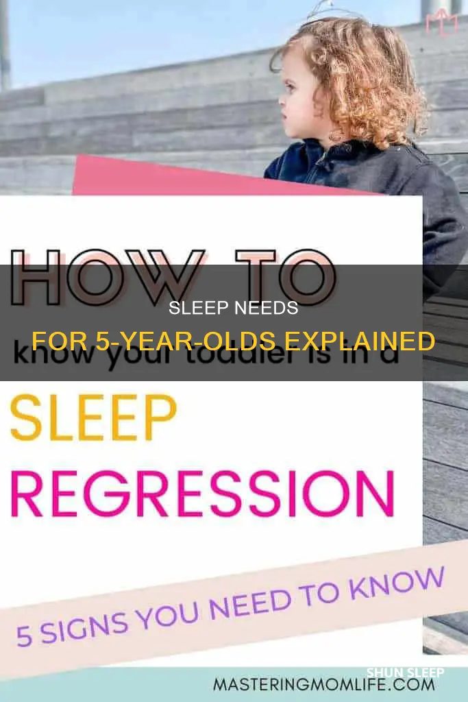 how mich sleep does a 5 year old need