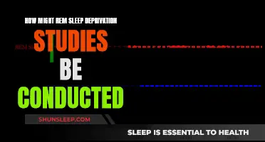 Exploring REM Sleep Deprivation: Study Design Strategies