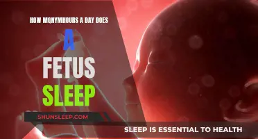 Fetal Sleep Patterns: How Many Hours Does a Fetus Sleep?