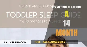 Unlocking the Secrets of Toddler Sleep: A Guide for Parents