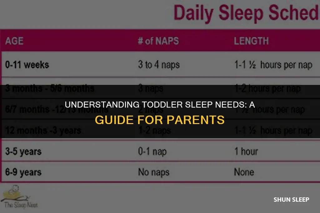 how msny hours should my 3 year old sleep