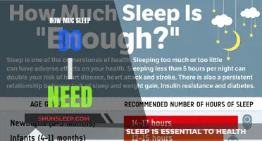 Sleep Requirements: Understanding Your Body's Optimum Rest