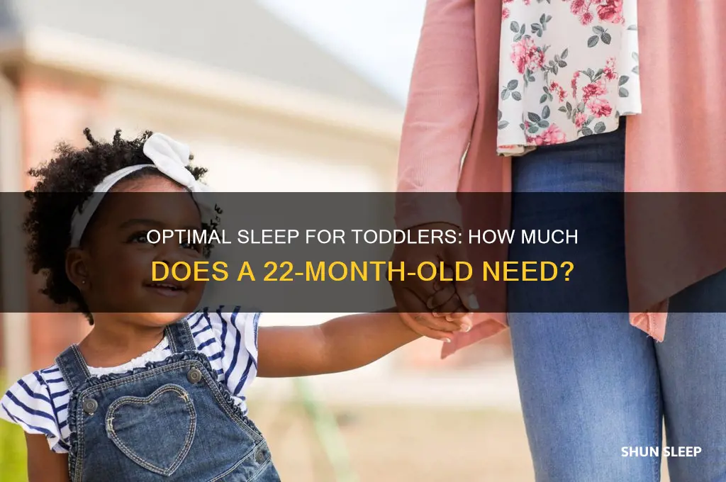 how mucb sleep should a 22 month old get