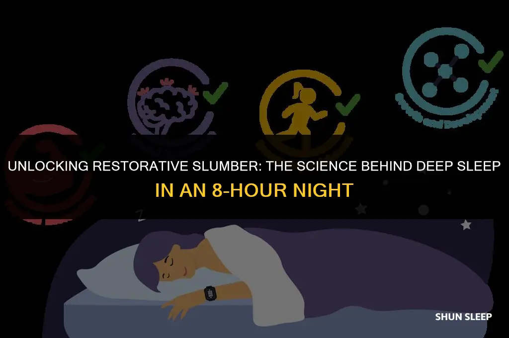 how much deep sleep do you get in 8 hours