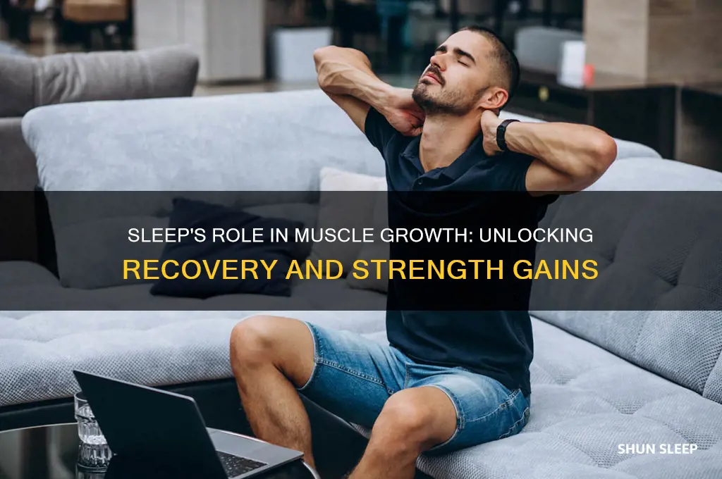 how much does sleep help muscle growth
