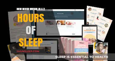 Unlocking the Mysteries of Dreams: A 2-Hour Sleep Study