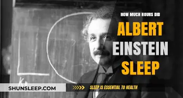 Unraveling the Genius: Einstein's Sleep Habits and Productivity Secrets