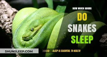 Unveiling the Mysteries of Snake Slumber: A Comprehensive Guide
