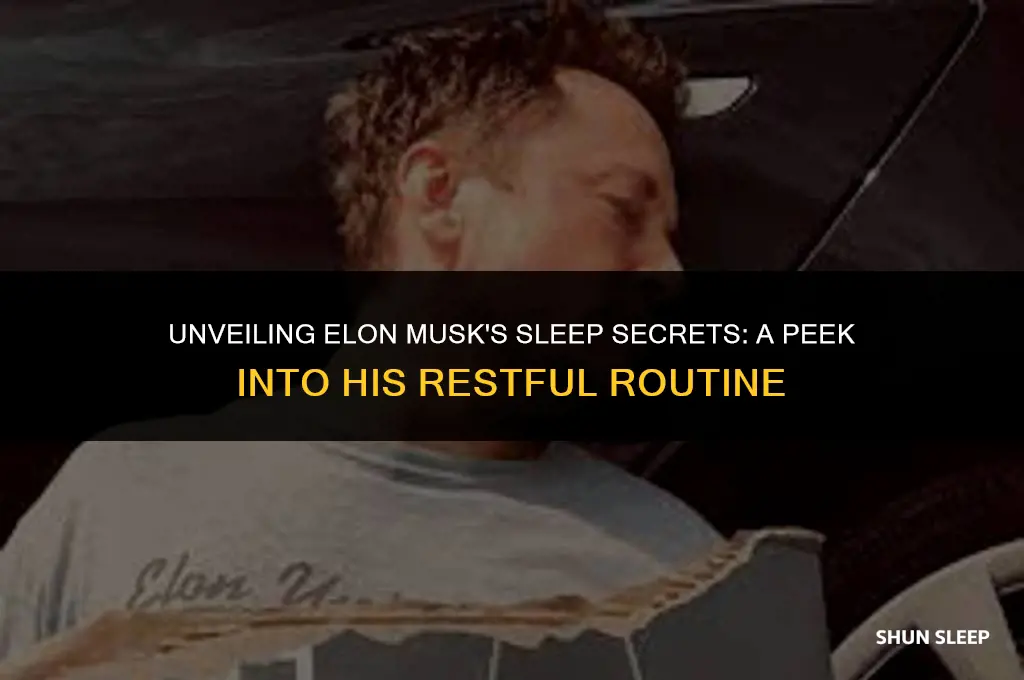 how much hours does elon musk sleep