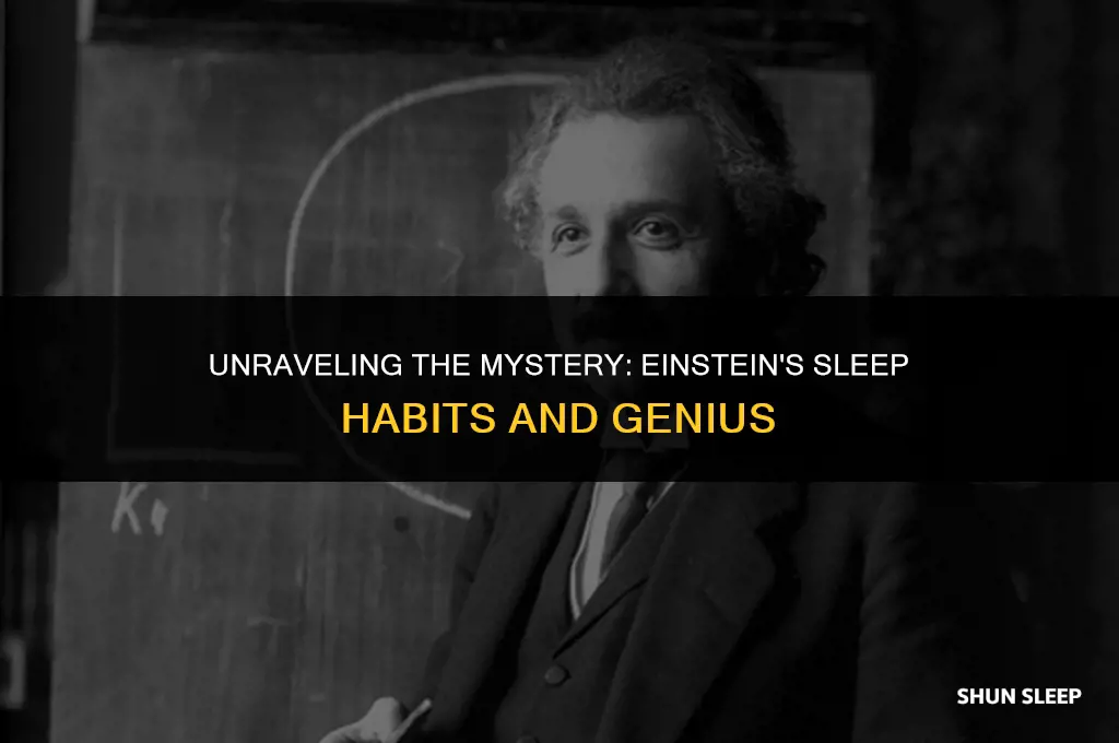 how much hours einstein sleep