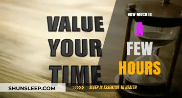 Exploring the Value of Time: How Much Is a Few Hours?