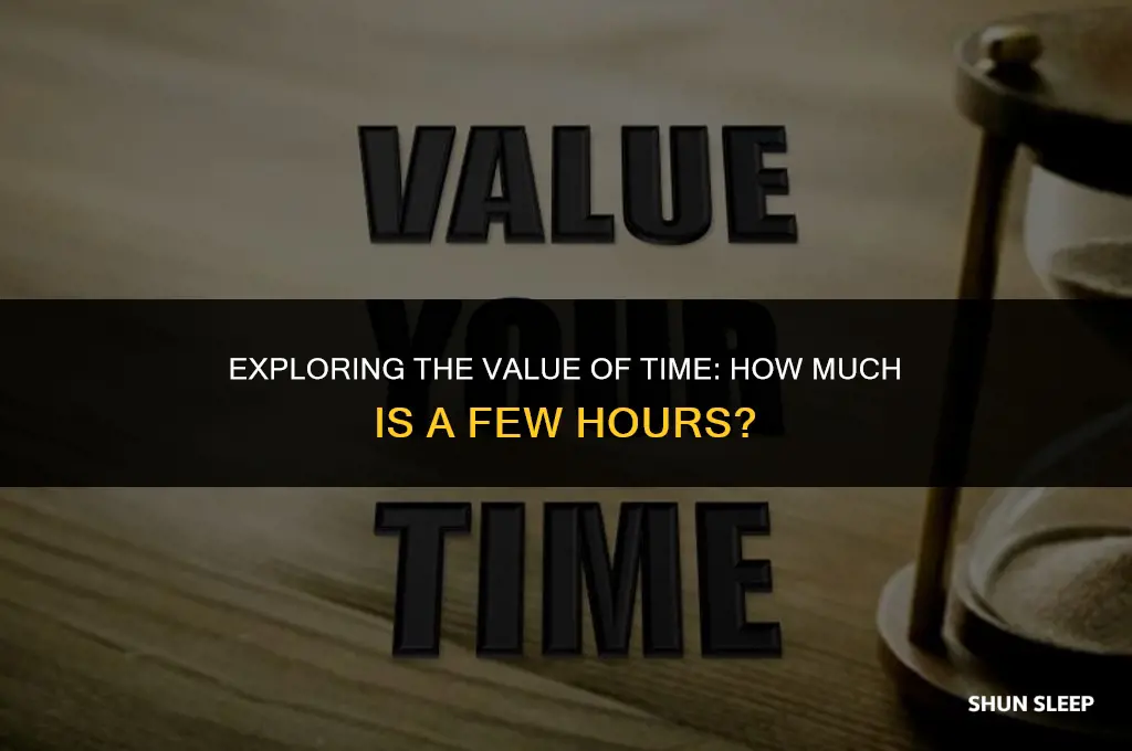 how much is a few hours