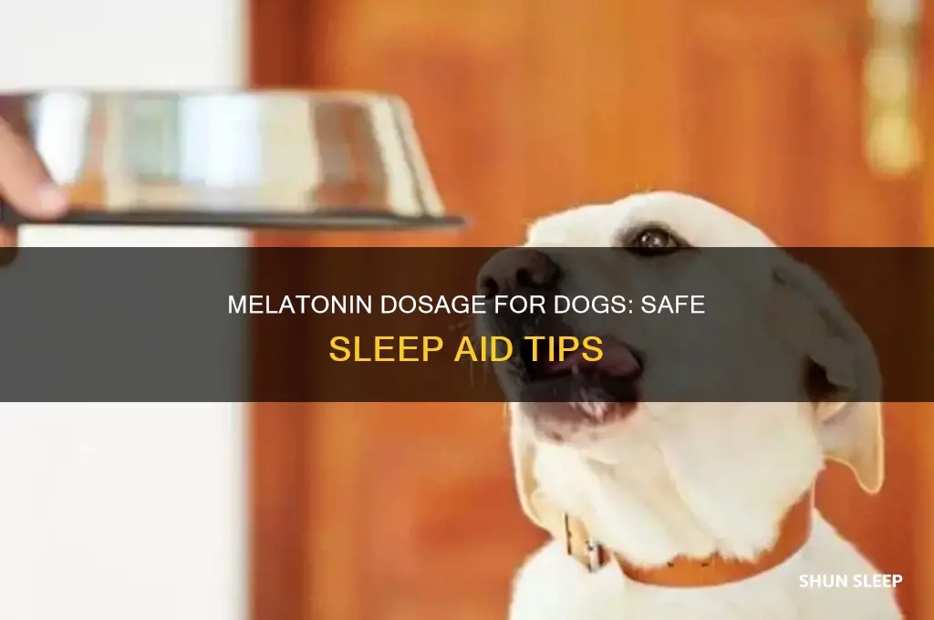 how much melatonin will help my dog sleep