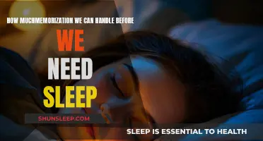 The Brain's Memory Capacity and Sleep Need