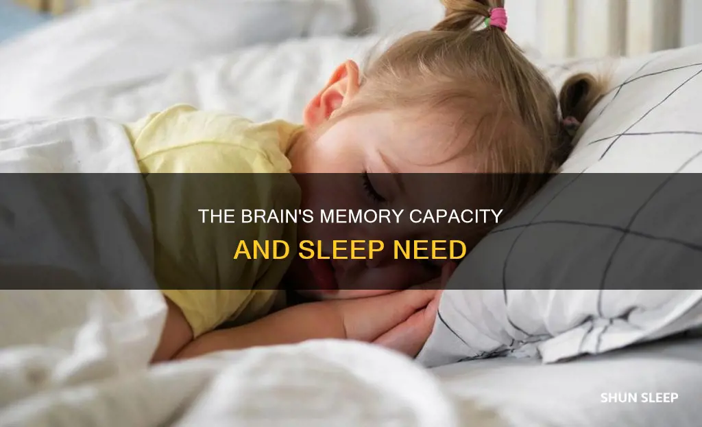 how muchmemorization we can handle before we need sleep