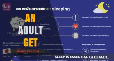 Optimal Sleep Duration: How Much Rest Do Adults Really Need?