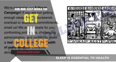 Balancing College Life: Optimal Sleep Hours for Academic Success and Health