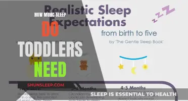 Sleep Guide for Toddlers: How Much Do They Need?
