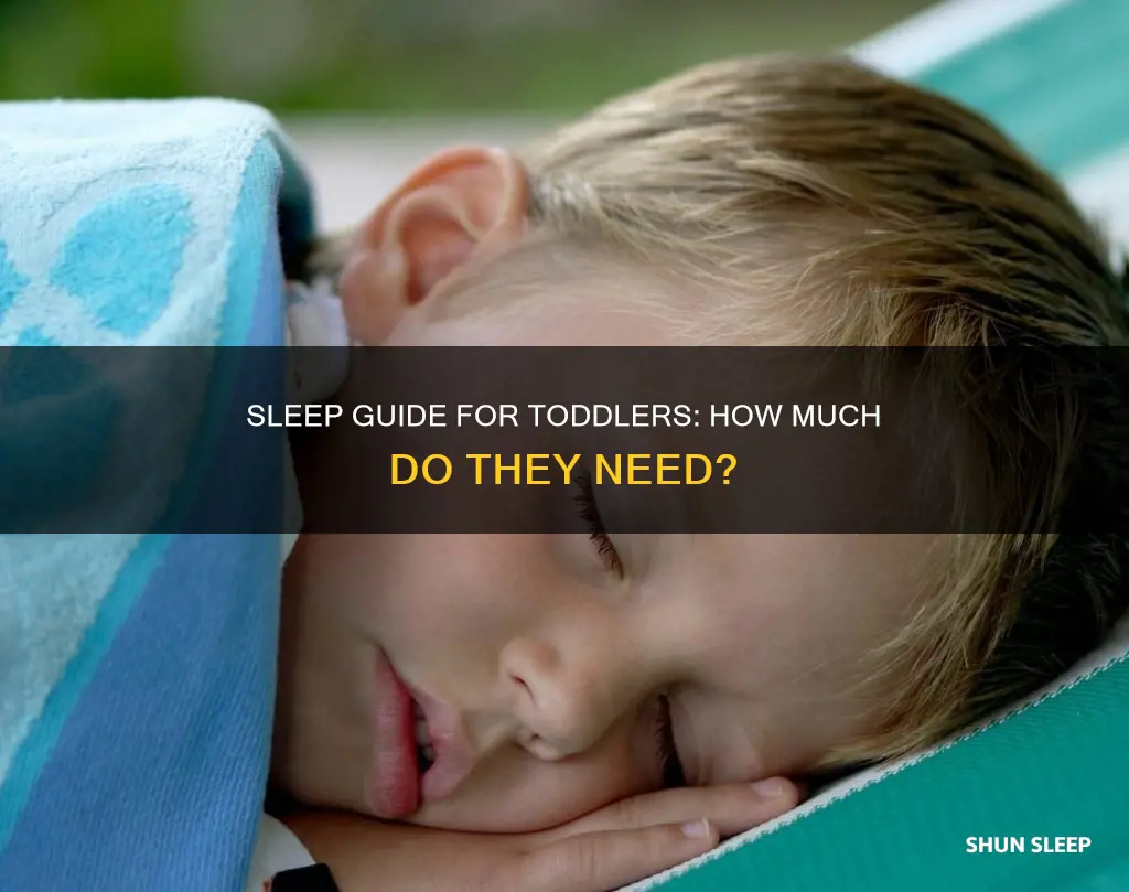 how muhc sleep do toddlers need