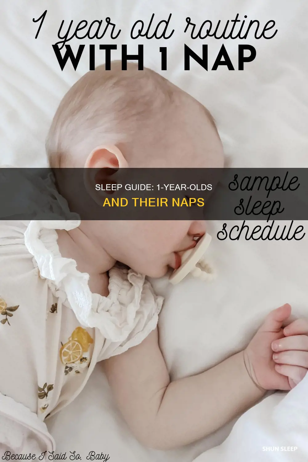 how muich should my 1 year old sleep