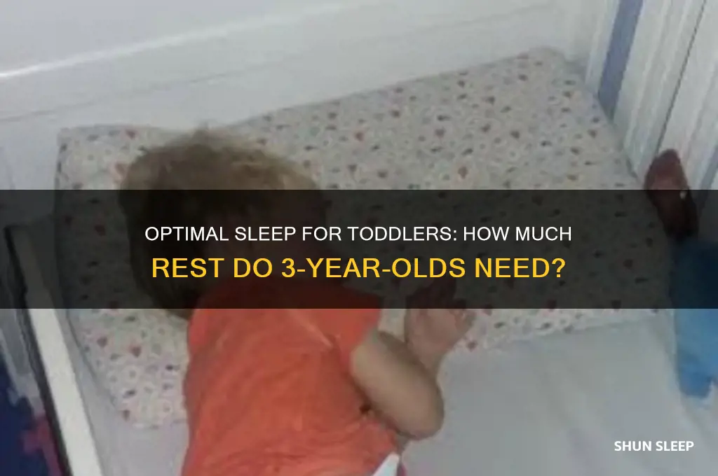 how munch sleep shoud 3 year olds get