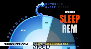 Understanding the Importance of REM Sleep