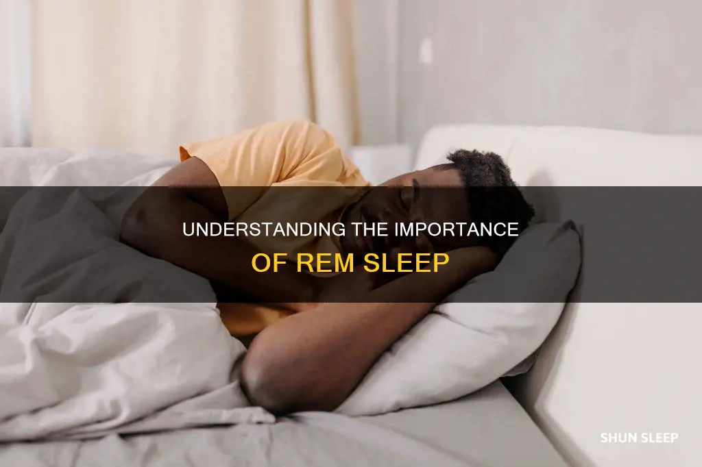 how mush sleep rem