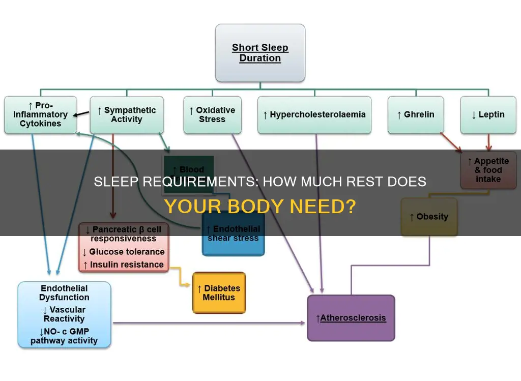 how muxh sleep do i need