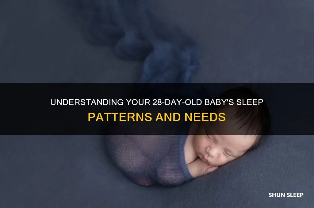 how mych does a 28 day old baby sleep