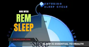 The Importance of REM Sleep and How Much We Need