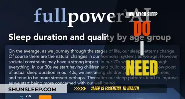 Sleep Requirements: How Much Rest Does Your Body Need?