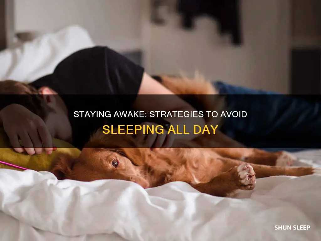 how not to sleep all day