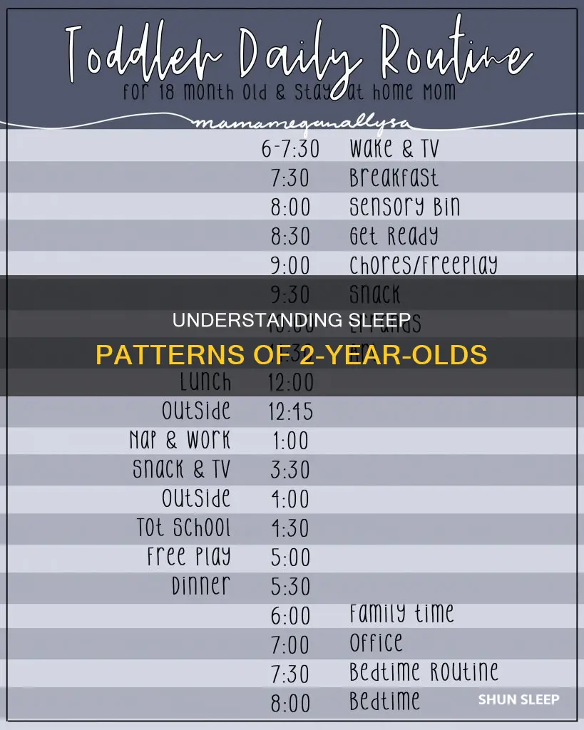 how often 2 year old sleep
