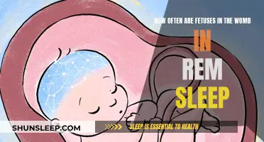 REM Sleep and Fetal Development: How Often?