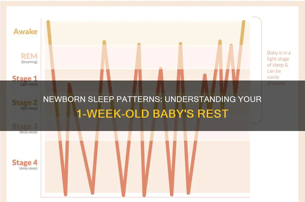 how often do 1 week old babies sleep