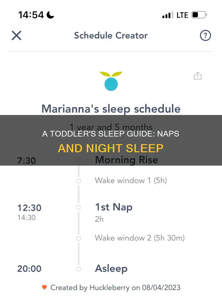 how often do 1 year olds sleep
