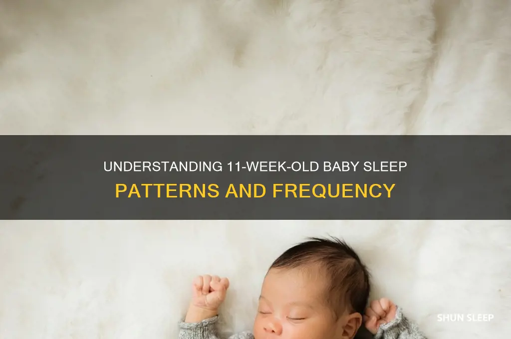 how often do 11 week old babies sleep