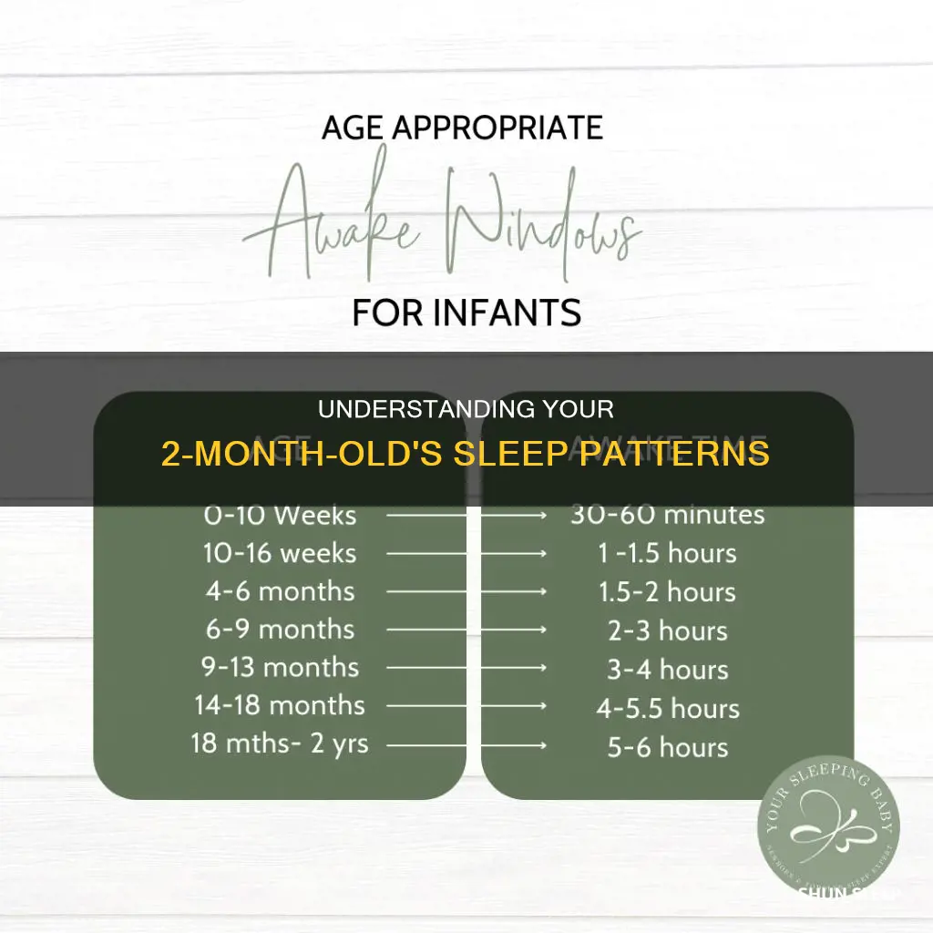 how often do 2 month olds sleep