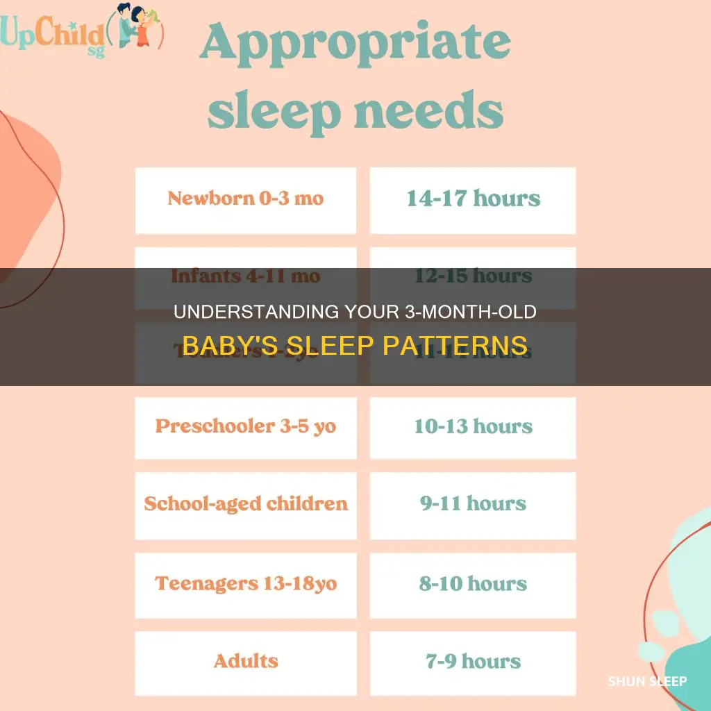 how often do 3 month old