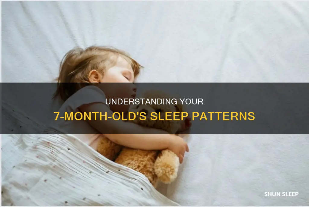 how often do 7 month olds sleep