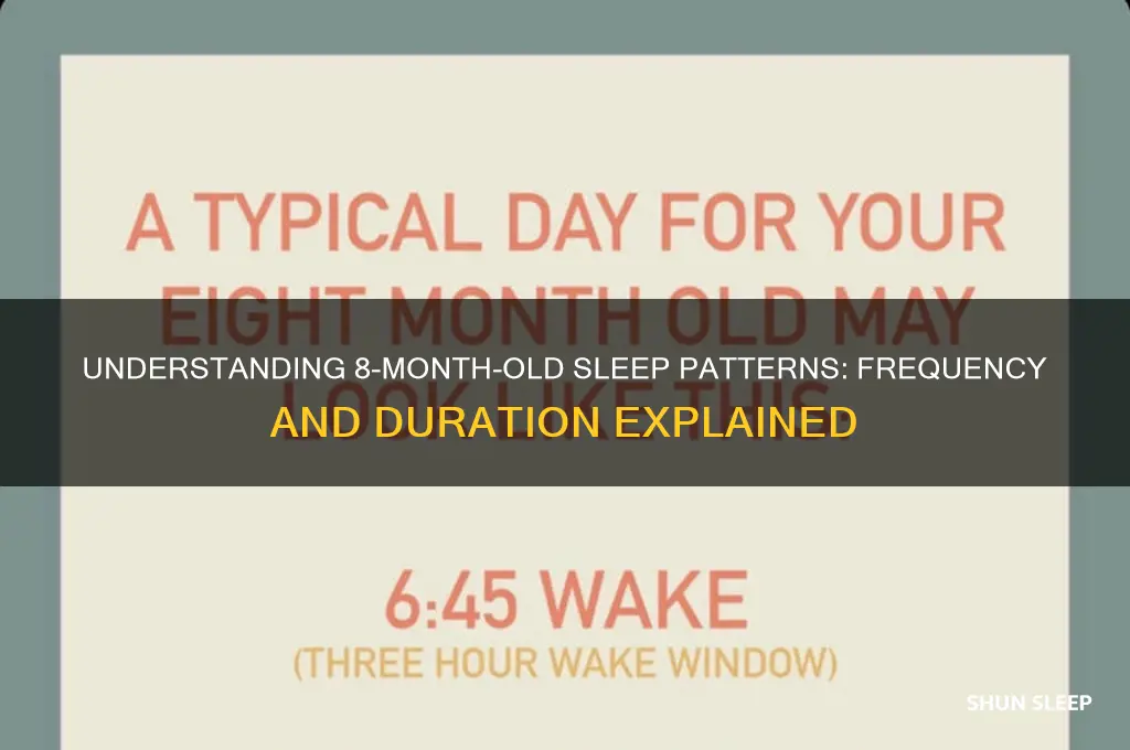 how often do 8 month old babies sleep
