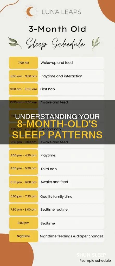 how often do 8 month olds sleep