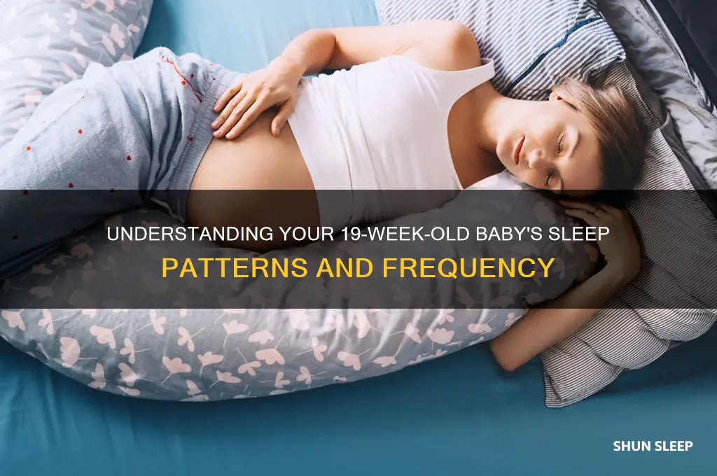 how often do babies sleep at 19 weeks