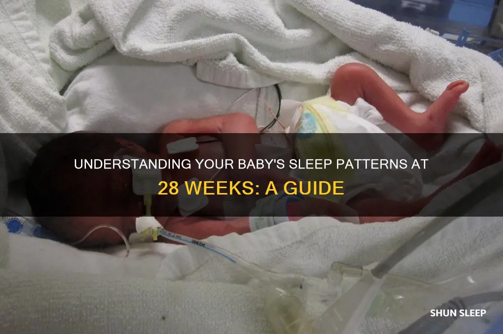 how often do babies sleep at 28 weeks