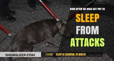 Understanding Euthanasia Rates in Dogs After Severe Attacks