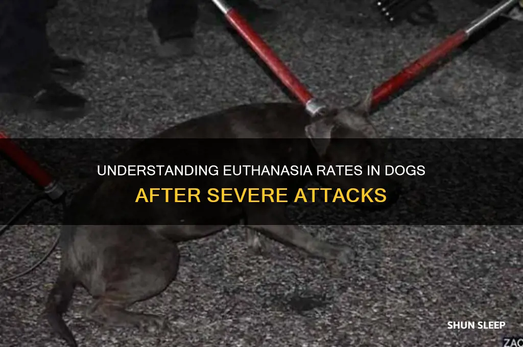 how often do dogs get put to sleep from attacks