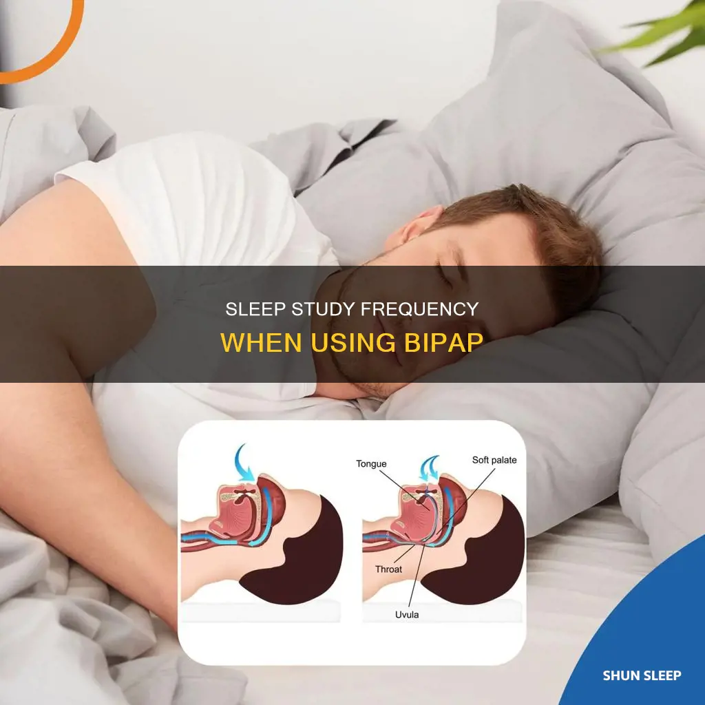 how often do i need a sleep study using bipap