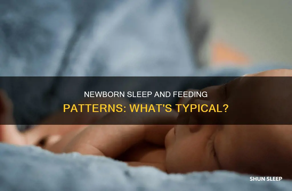 how often do newborns eat and sleep