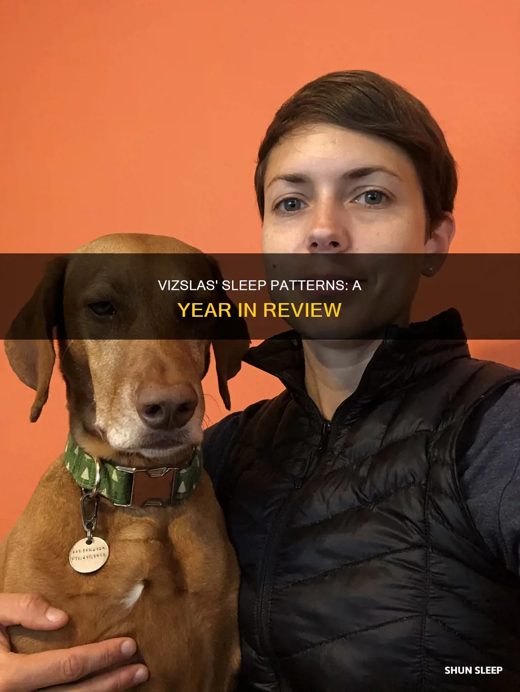 how often do year old vizsulas sleep